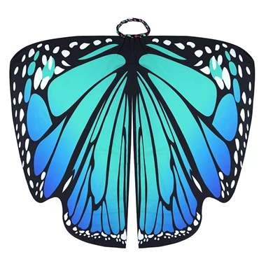 כנפי פרפר ענקיים : image 3