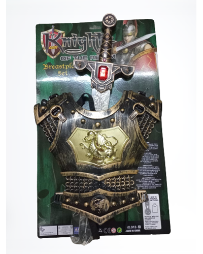 חרב עם שיריון של לוחם