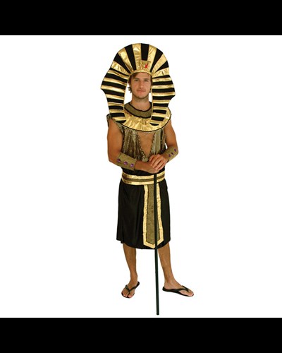 תחפושת פרעה 