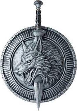 סט מגן ושיריון קדמי ויקינג : image 2