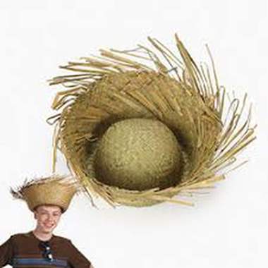 כובע קש / דחליל : image 2