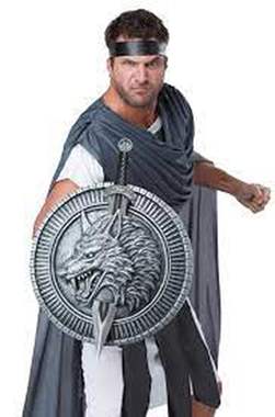 סט מגן ושיריון קדמי ויקינג : image 3