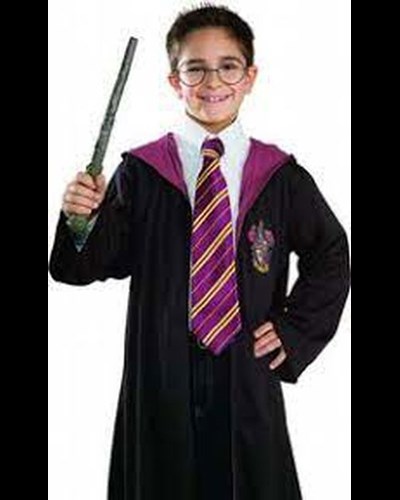 סט הארי פוטר מהודר