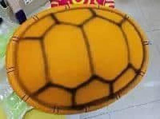 שיריון צב : image 1