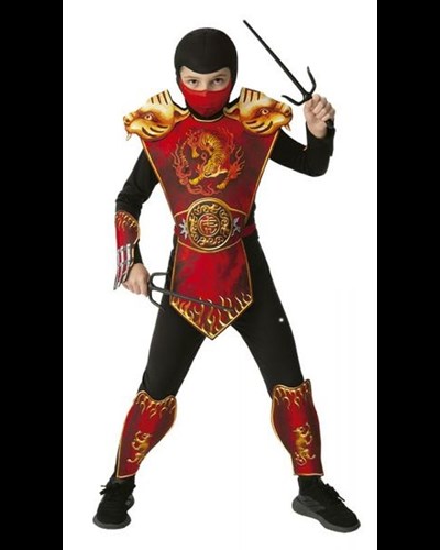 תחפושת נינג