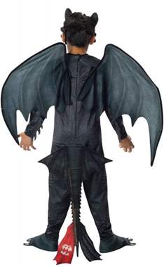 תחפושת שום שן( הדרקון הראשון שלי  : image 2