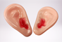 אוזניים ענקיות : Thumb 1